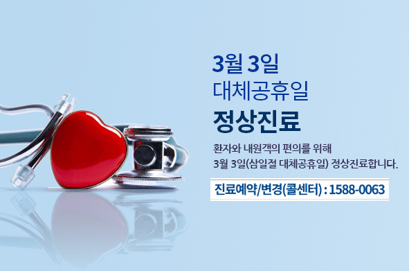 3월 3일 대체공휴일 정상진료